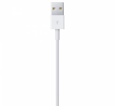 Apple USB Cable Lightning 2 M